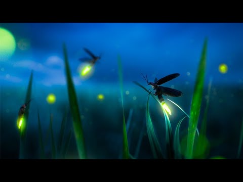 Uzdrawiająca muzyka na zaburzenia lękowe, lęki, depresję i eliminacja negatywnych myśli