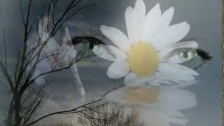 Andrea Bocelli - Sogno