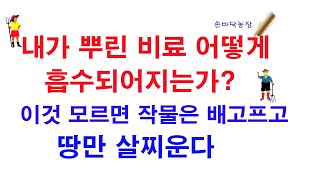 내가 뿌린 비료 어떻게 흡수되어지는가? 이것 모르면 작물은 배고프고 땅만 살찌운다(비료, 비료의 흡수, 비료…