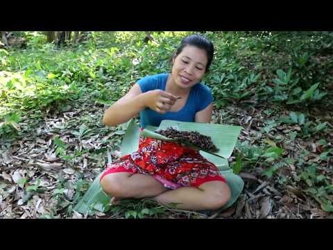 Survival skills: Find and catch crickets For food - Cooking crickets eating delicious #7 Video