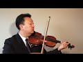 The Last of Us Theme - William Yun Violin