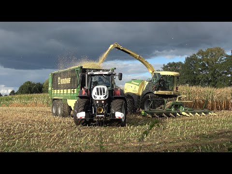 Mais hakselen door loonbedrijf Zandman met 10 rij Krone Big X 580 en Steyr/Case IH trekkers (2022)