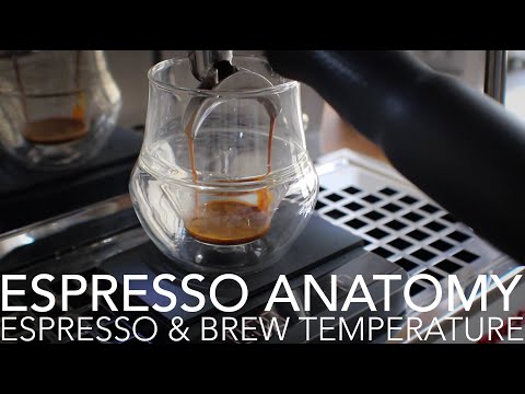 ESPRESSO ANATOMY - Espresso & Brew Temperature