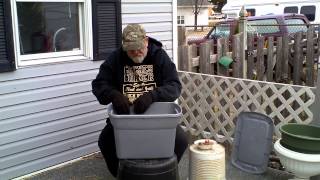 FAMILY FARMER  CAN YOU GROW AND RAISE NIGHTCRAWLERS FROM THE STORE WELL LETS SEE