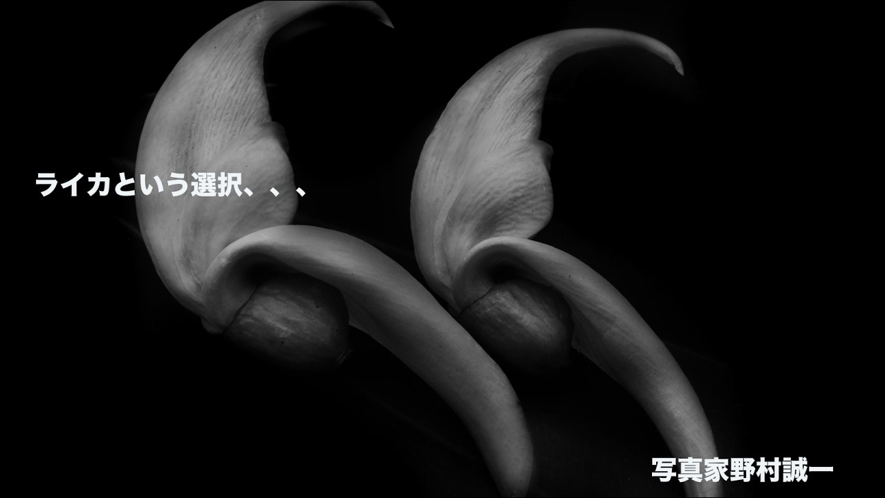 ライカには、想像させる力がある。この選択肢は他にないような気がするが、、、