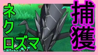 ネクロズマ ポケットモンスター タマンタ パルスワン ソーナンス ネクロズマ ポケットモンスター タマンタ パルスワン ソーナンス