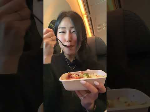 Everything I Ate on ANA Flight to Japan