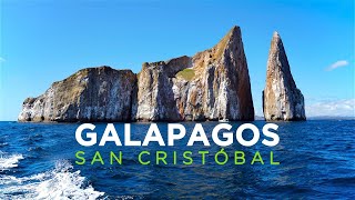 GALAPAGOS: SAN CRISTOBAL: Travel Vlog met Stranden, Zeeleeuwen & Kicker Rock