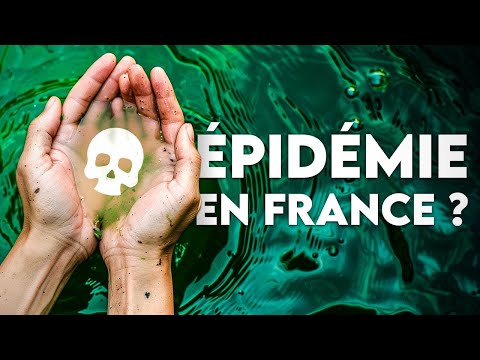 L’épidémie qui débarque en France et inquiète à Mayotte