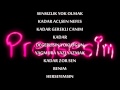 Dogum gunun kutlu olsun prenses.. 