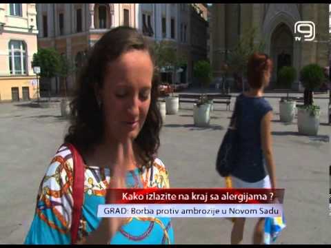 TV KANAL 9, NOVI SAD, Borba protiv ambrozije u Novom Sadu