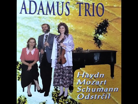 Adamus Trio: Haydn Mozart Schumann Odstrčil