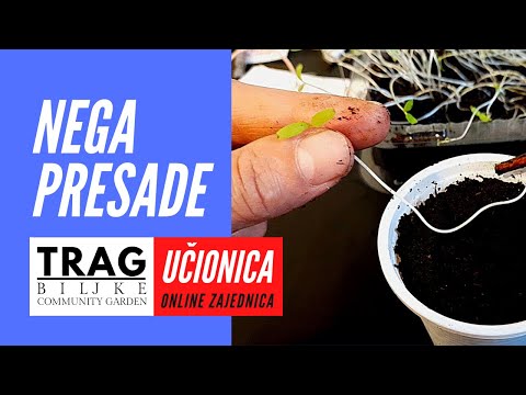 CARE OF TRANSPLANTS - CLASSROOM