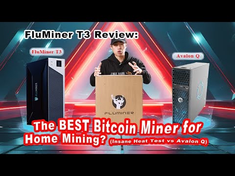 FluMiner T3 Review: The BEST Bitcoin Miner for Home Mining? (Insane Heat Test vs Avalon Q)