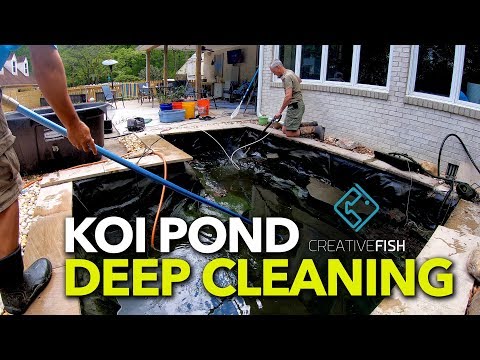 Koi Pond Spring Deep Cleaning