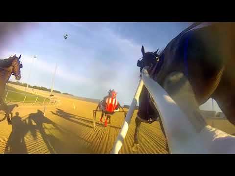 4k sulky cam harness racing