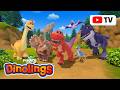 Full Episodes Dinolings Season 2 E1 12 1 HOUR Of DINOSAURS Dinolings Official