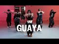 Eva Simons - Guaya / Harimu Choreography