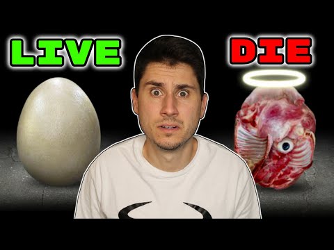 Make The Right Choice... OR DIE!