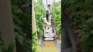 Smart Farming in Action!