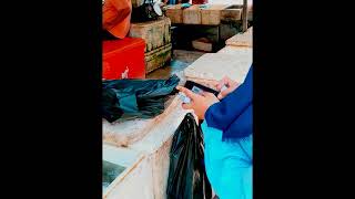 Download lagu Cara Membuat Sistem Rangka Ikan Tuna mp3