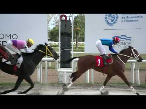 230217 c05 - INDOMINUS - HIPODROMO LAS PIEDRAS