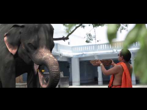 The Elephant   VFX Short