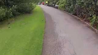 preview picture of video 'Temple Newsam parkrun #80 16/08/2014'