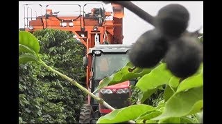 Miniatura do vídeo