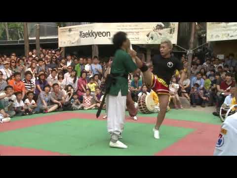 taekkyeon vs muay thai kick very fast