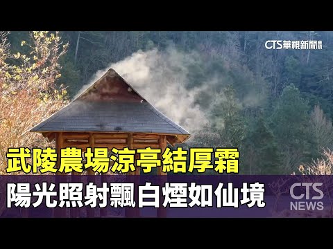 武陵農場涼亭結厚霜　陽光照射飄白煙如仙境