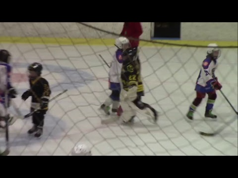 F2 Kiekko-Karhut - Fortuna