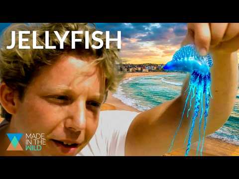 download lagu mp3 mp4 Medusa Bondi Beach, download lagu Medusa Bondi Beach gratis, unduh video klip Medusa Bondi Beach