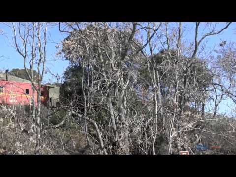 SP  No. 1423 And US Navy #298 (GE 80-Tonner) Engine Passing Through Vallejo Mill Historical Park
