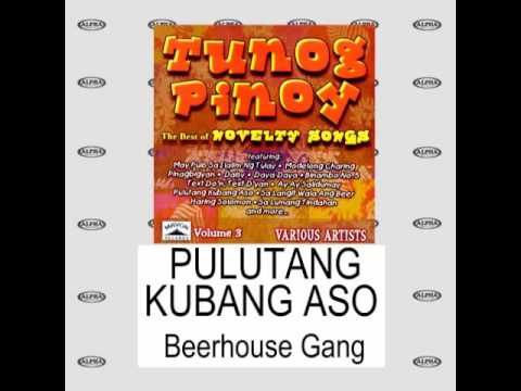 Pulutang Kubang Aso By Beerhouse Gang (With Lyrics)