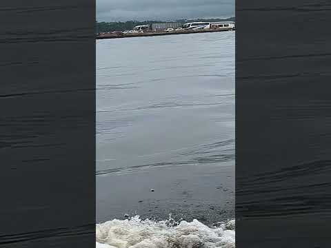 encontro das aguas do rio Solimões ph 8 e rio negro ph 4 misterio