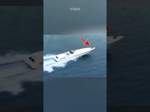 Chicken Head vs Camera Stabilizer