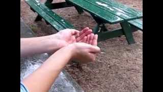 Move My Way- The Vamps (Music Video)