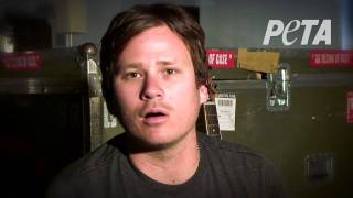 Blink 182's Tom DeLonge - Have the Balls to Fix Your Dog