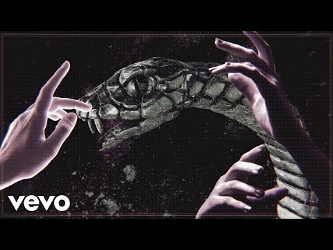 Throw The Fight - Snake Mountain (Official Video)