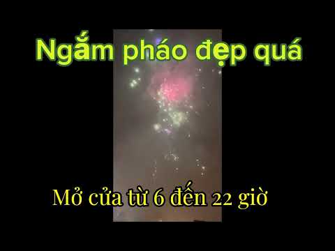 1.12.2023: SELGROS QUẬN LICHTENBERG BÁN PHÁO ĐÓN XUÂN 2024
