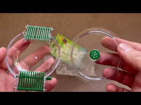 Unboxing JBL Limcollect Aquarium Snail Trap, Green / Transparent