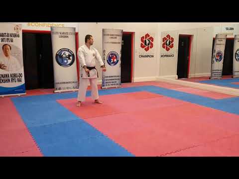 Heian Nidan Kata Shito Ryu - Sensei Vasile Munteanu