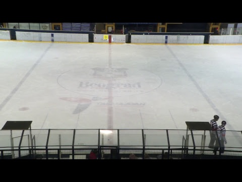 ARENA SPORT LIVE EVENTS