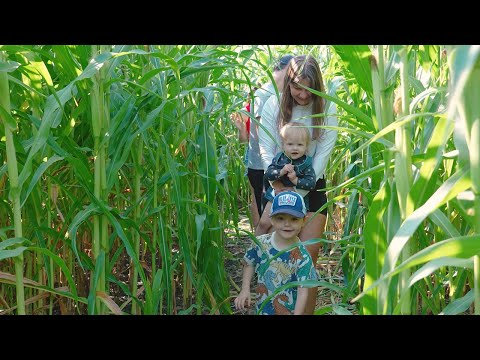 Secord Corn Maze - 2024 Season Video