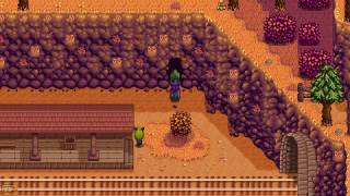 What to do after fixing Community Center ? - Stardew Valley