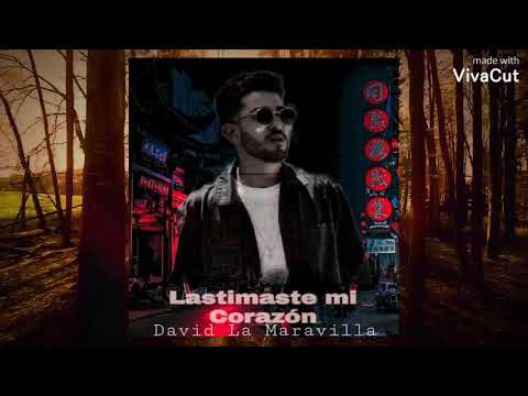 DAVID LA MARAVILLA - LASTIMASTES  MI CORAZON