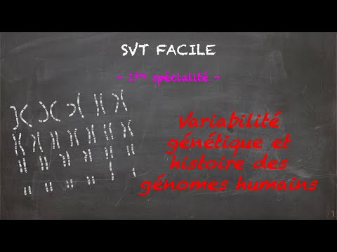 SVT FACILE - 1ère spé. - Variabilité génétique et histoire des génomes humains