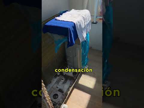 Sabemos lo que hacemos.