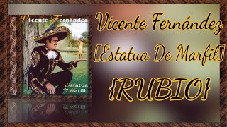 Vicente Fernández: El Toro Y La Luna [Estatua De Marfil] Karaoke {RUBIO}